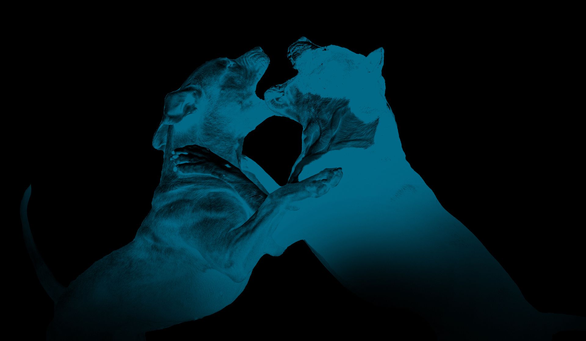 VQM-LA-FEROCIA-GRAFICA-ok_compressed